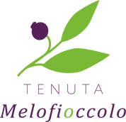 Tenuta-Melofioccolo-napoli