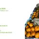 Cassetta del contadino tenuta melofioccolo 17 gennaio 2020 napoli mandarini