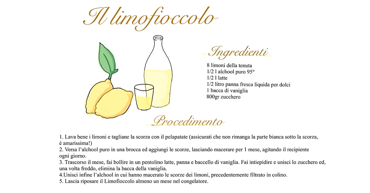 L'immagine descrive la ricetta del limoncello fatta con i limoni della tenuta melofioccolo