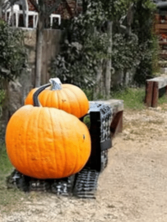 Halloween in tenuta – tenuta melofioccolo